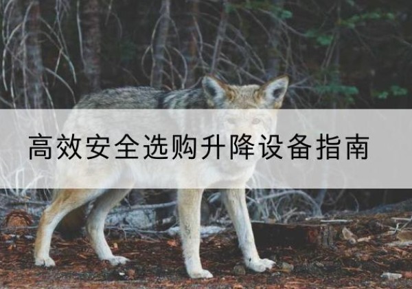 勐海升降货梯厂家推荐-*安全选购升降设备指南