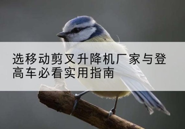 勐海电动升降机厂家-选移动剪叉升降机厂家与登高车必看实用指南