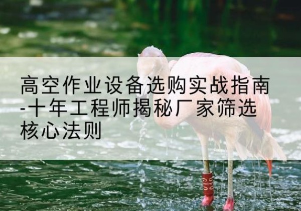 勐海剪叉式升降机厂家-高空作业设备选购实战指南-十年工程师揭秘厂家筛选核心法则
